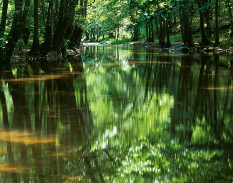 ЮНЕСКО  включи ПП „Странджа“ в община М. Търново с името „Узунбуджак“ сред световните биосферни паркове