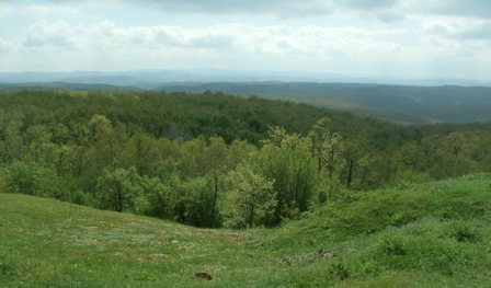 Програма за седмицата на гората